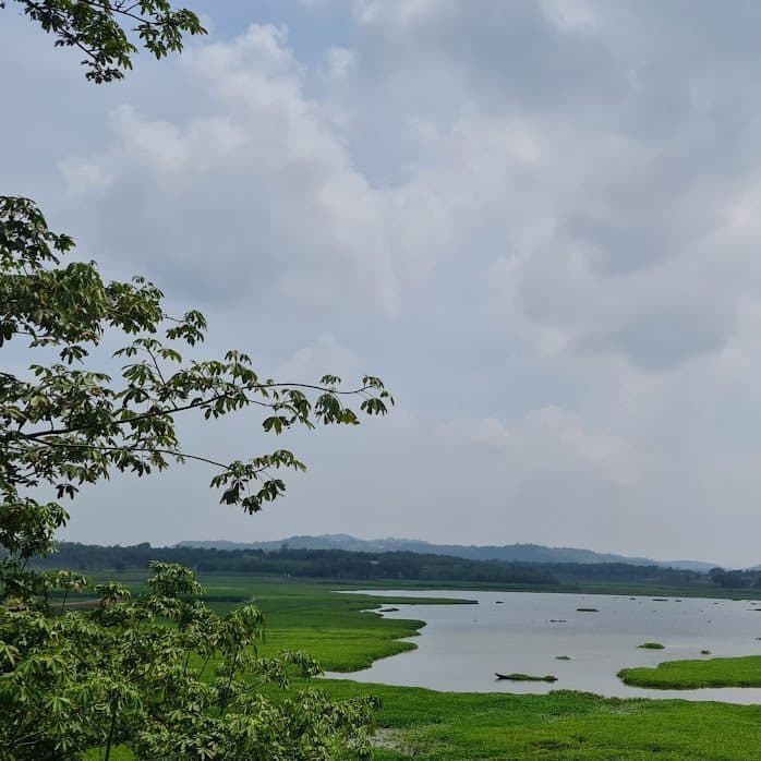Udhwa Lake wetland with green marshes and the Rajmahal hills on the horizon